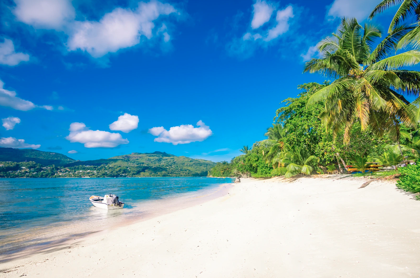 PINEAPPLE BEACH VILLAS (only adult 10+) - 2