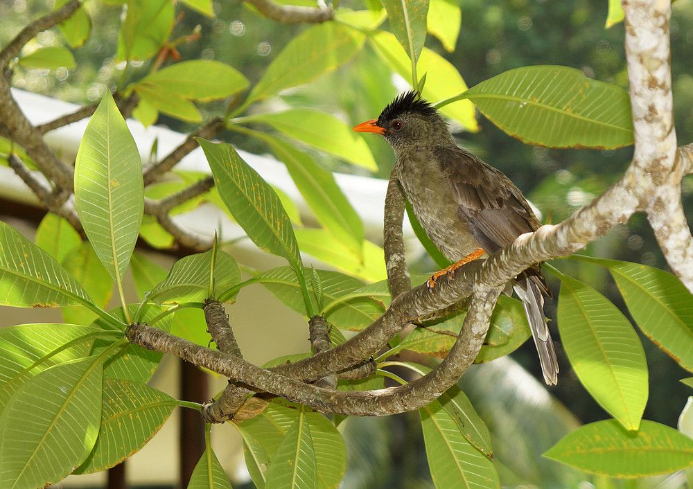 Картинка отеля - 38