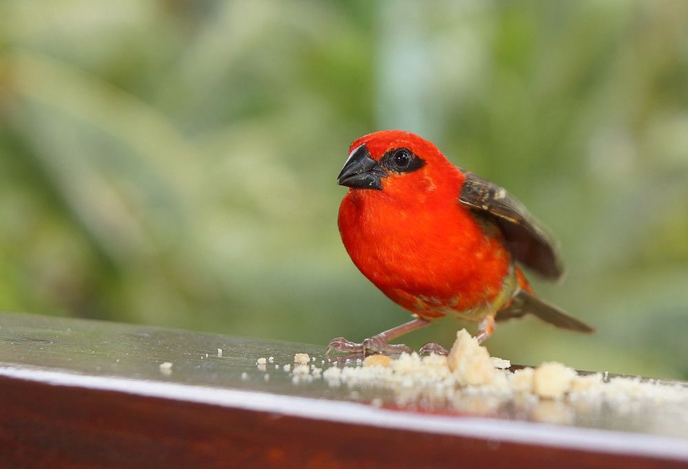 Картинка отеля - 37