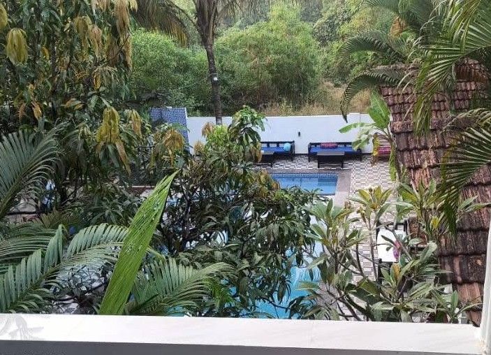 GODS GIFT MORJIM, NEW WADA (ex. GODS GIFT MORJIM) - 12