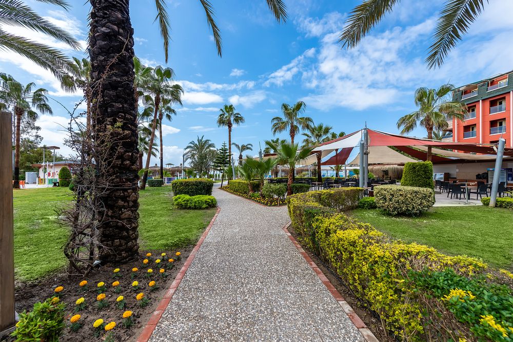 Картинка отеля - 14