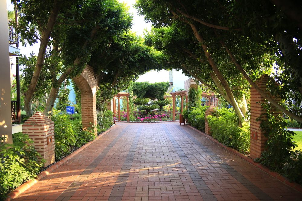 Gypsophila Holiday Village - 51