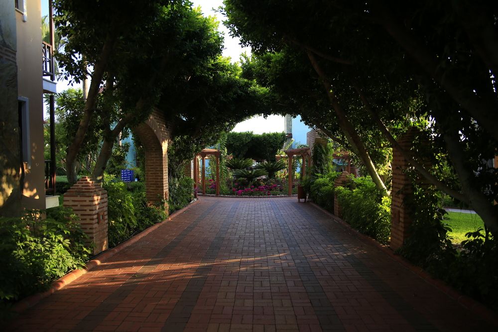 Gypsophila Holiday Village - 50