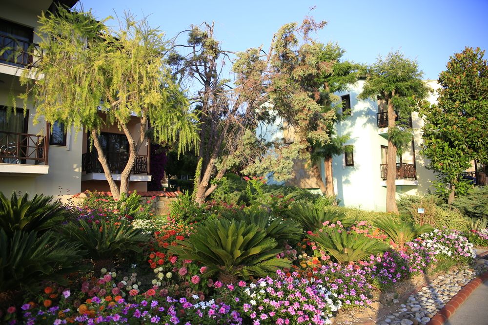 Gypsophila Holiday Village - 42