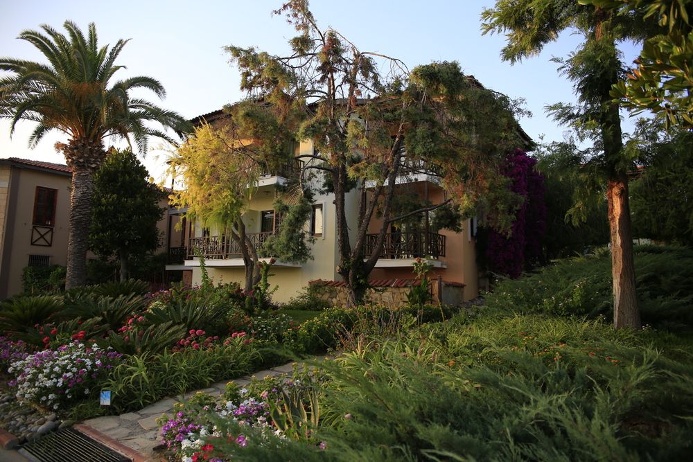 Картинка отеля - 40