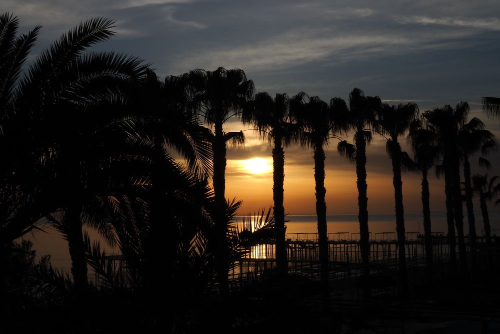 Картинка отеля - 39