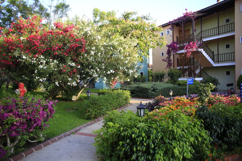 Gypsophila Holiday Village - 36