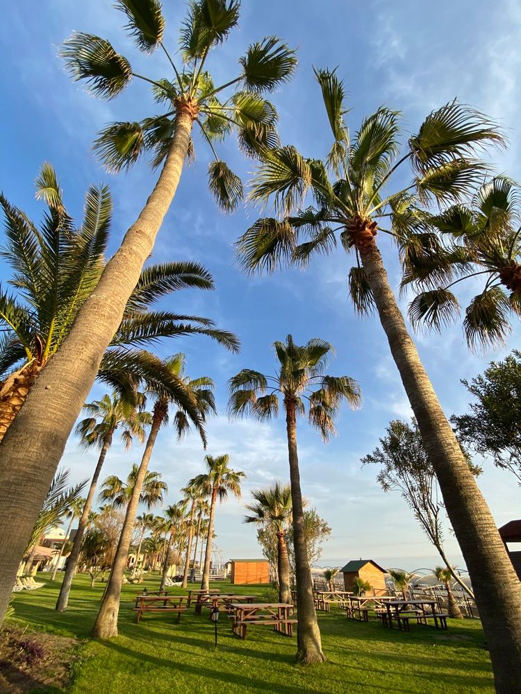 Gypsophila Holiday Village - 34