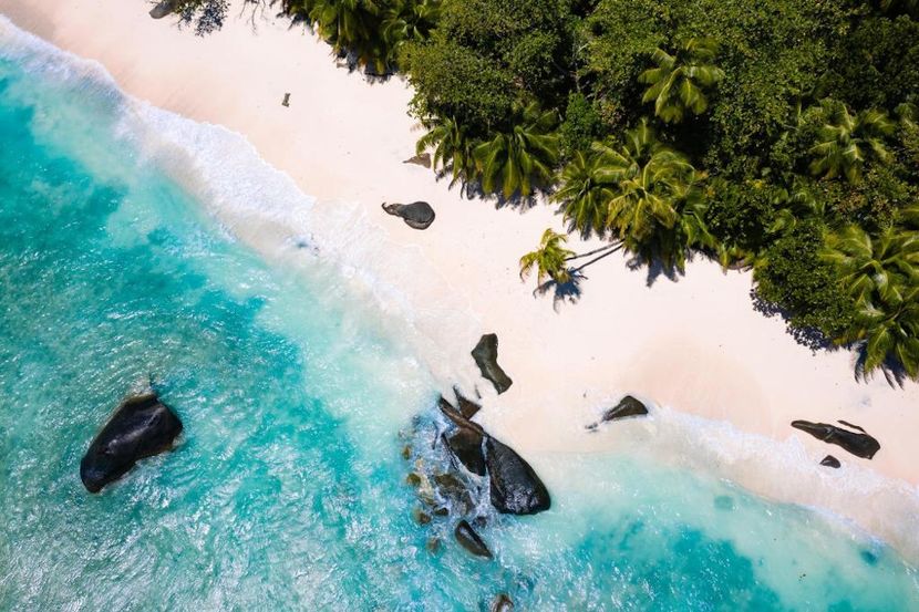 NIVA LABRIZ SEYCHELLES (ex. LABRIZ SILHOUETTE SEYCHELLES) - 4