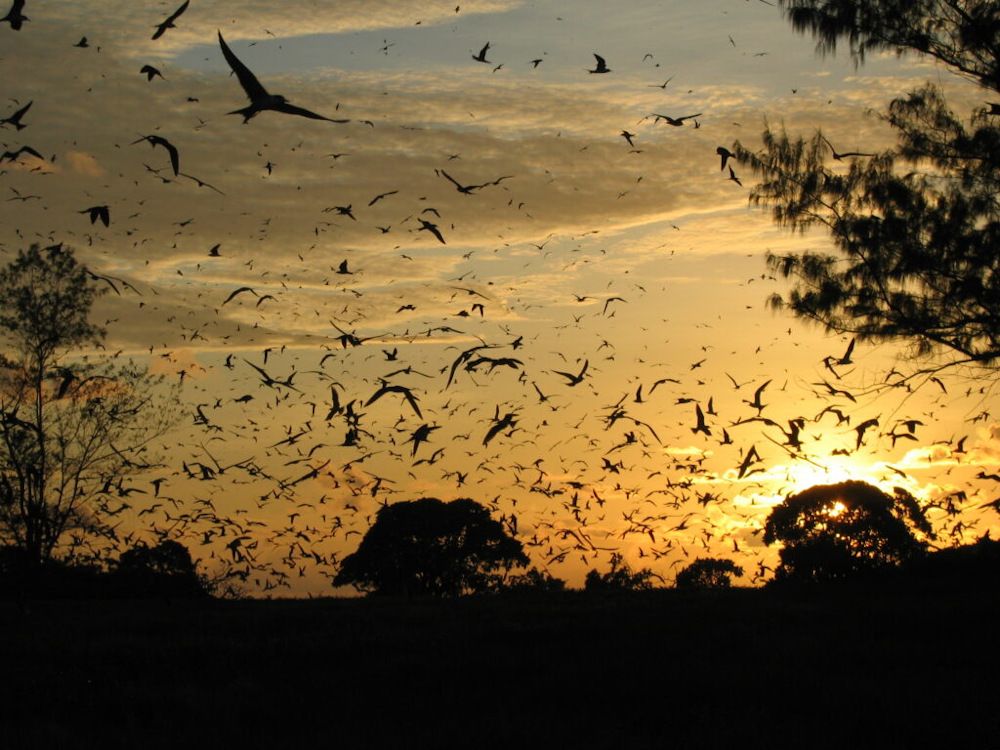 Картинка отеля - 6