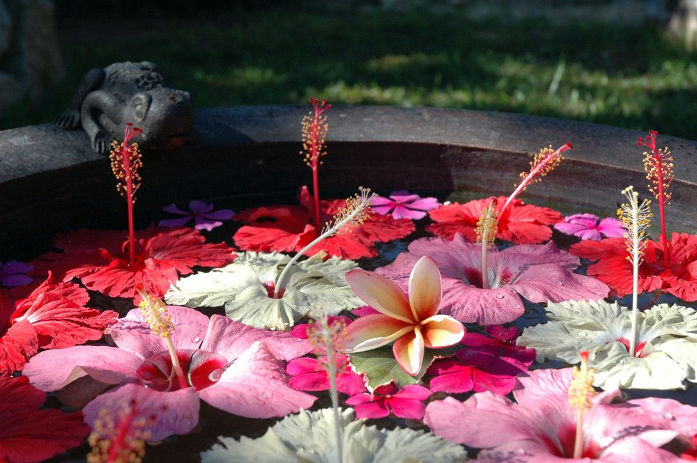 Картинка отеля - 15