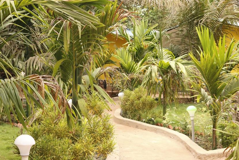 LAVISH EXOTIC HOTEL & APARTMENTS (ex. LAVISH COTTAGES) - 6