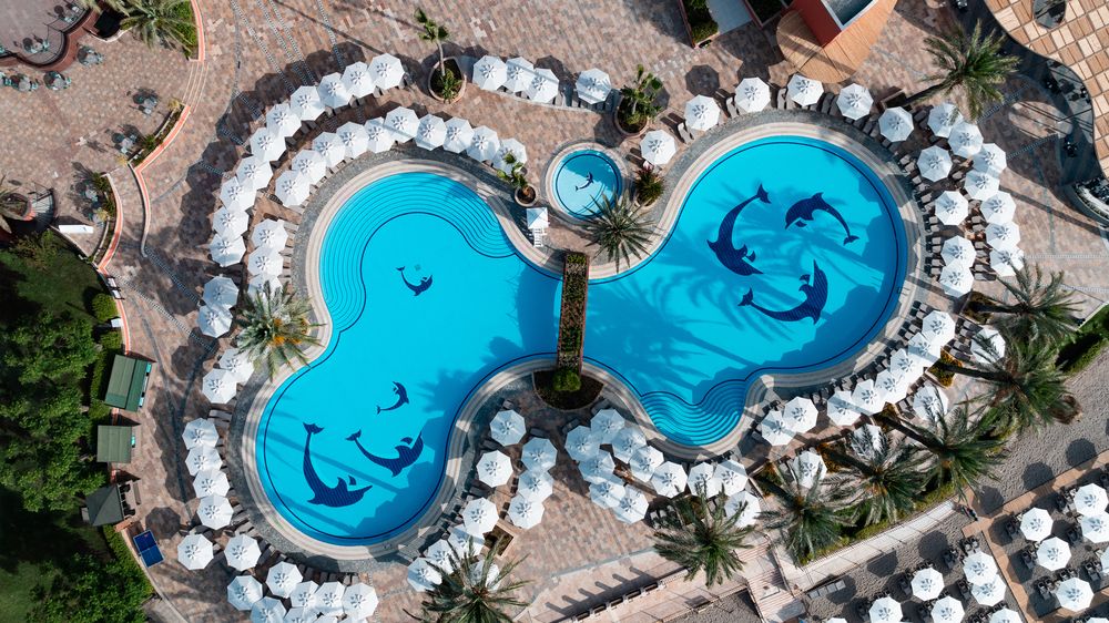 The Norm Orıental - 26