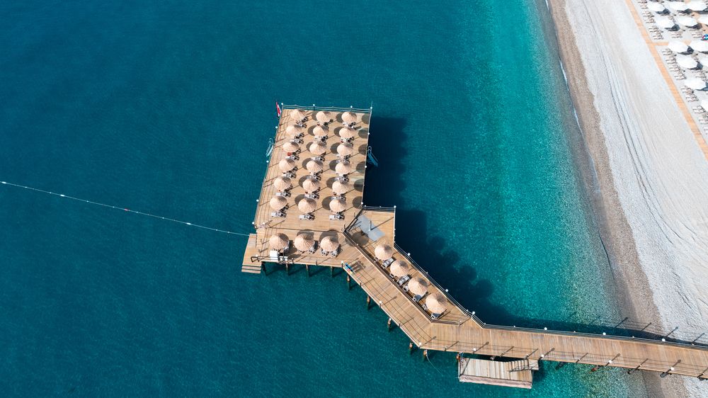 The Norm Orıental - 19