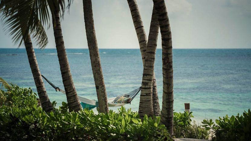 FOUR SEASONS RESORT AT DESROCHES ISLAND - 5