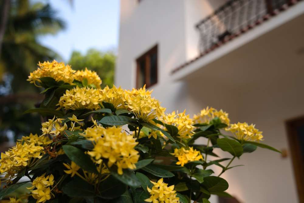 THE VERDA DE MIRANDA RESORT - 8