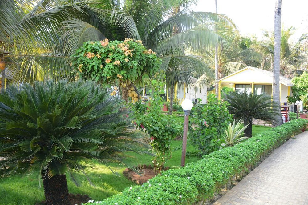 Картинка отеля - 8