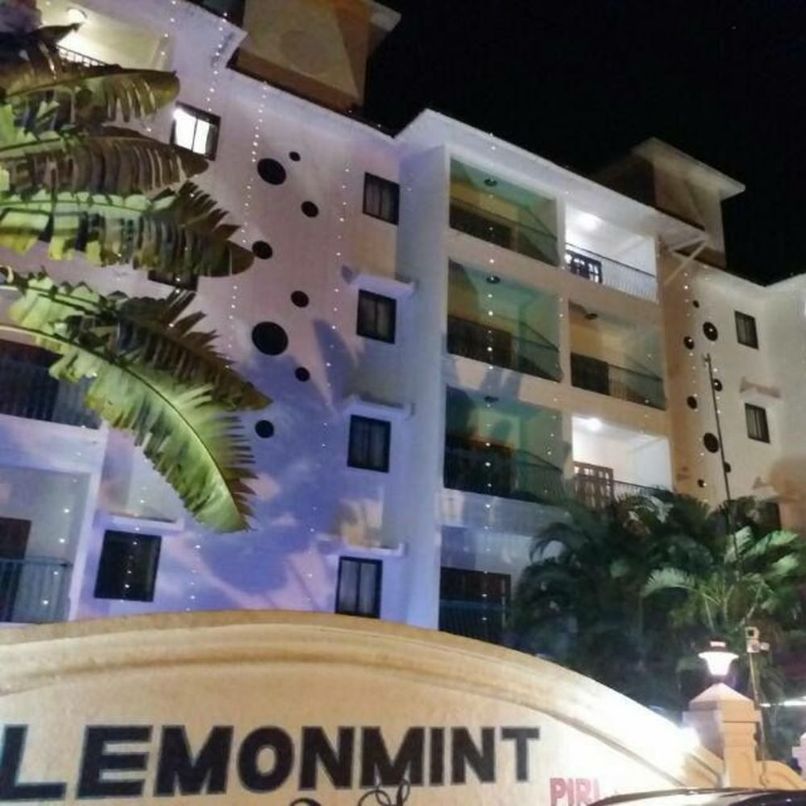 LEMON MINT SVELTON MANOR - 2