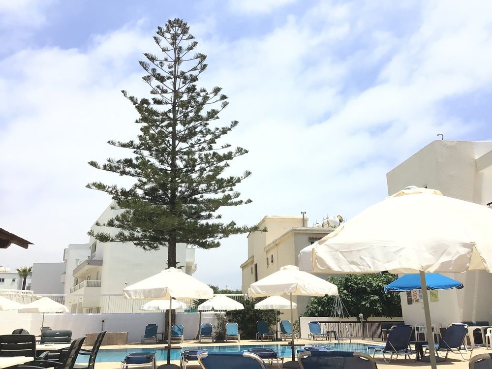 FLOREA HOTEL APTS (Class B) - 6
