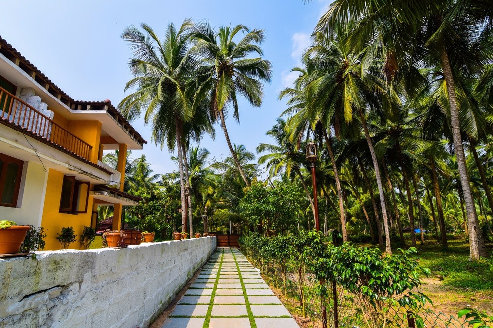 MEADOWS VIEW RESORT - 2
