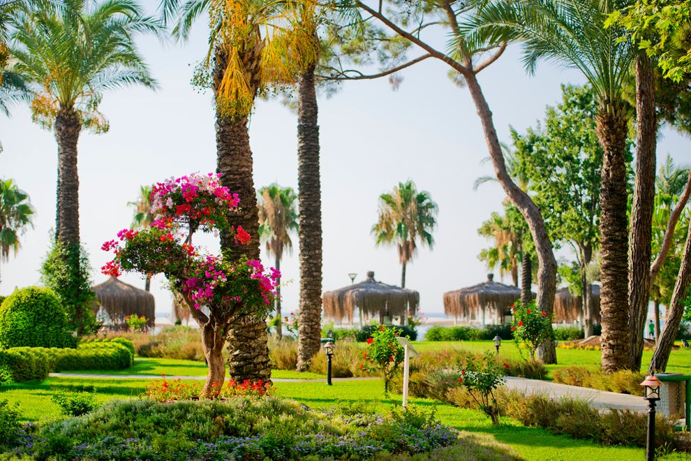 Mirada Del Mar Hotel - 8