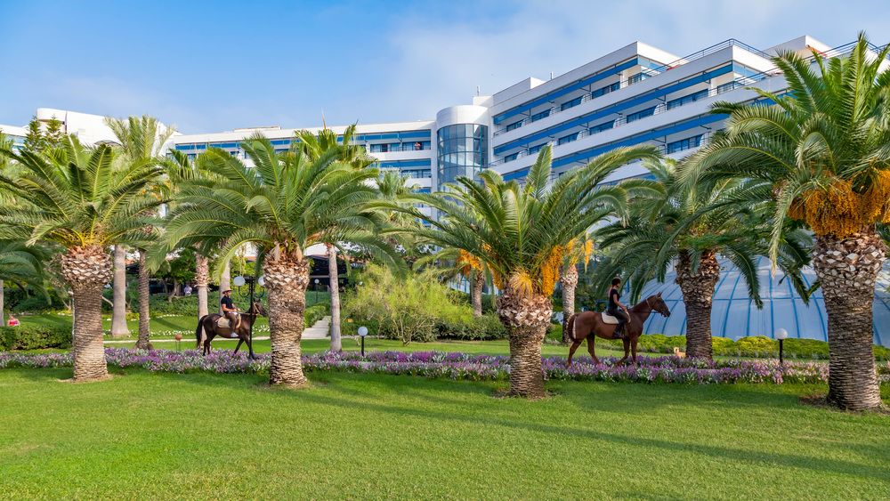 Картинка отеля - 110