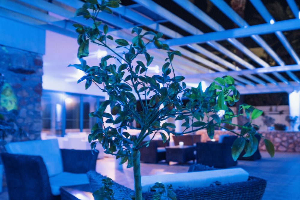 ANONYMOUS BEACH HOTEL (only adults 16+) - 18