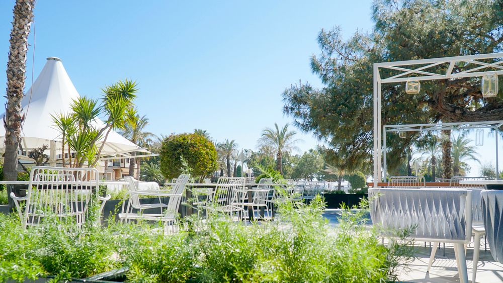 Картинка отеля - 17