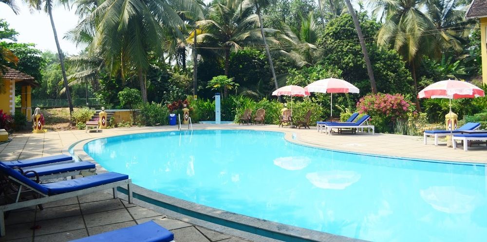 Картинка отеля - 20