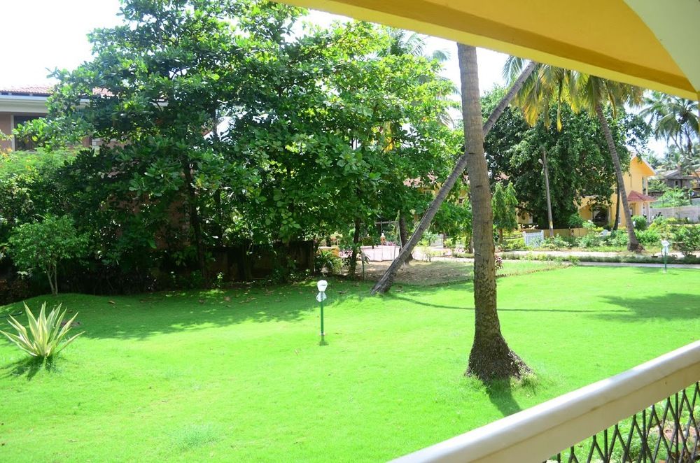 Картинка отеля - 13