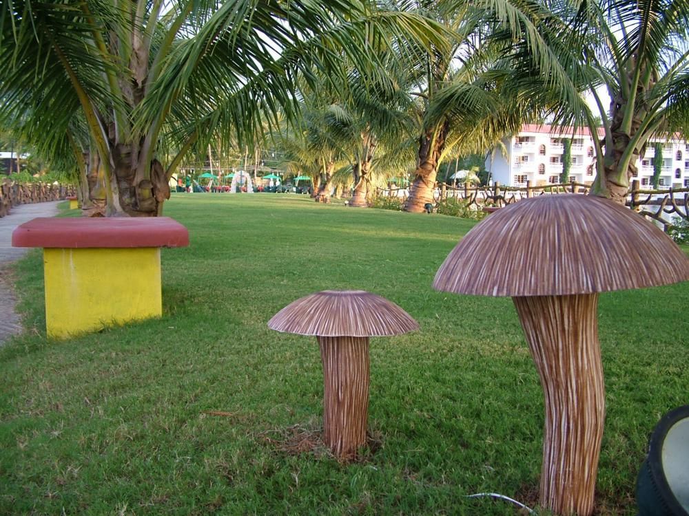 Картинка отеля - 17