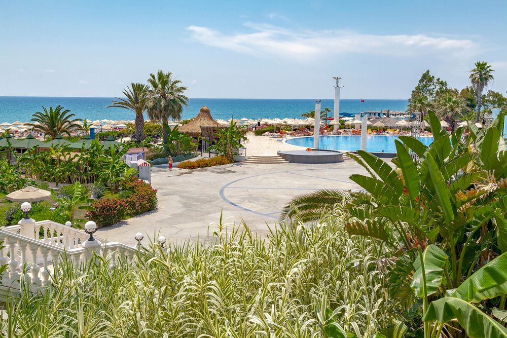 Картинка отеля - 81