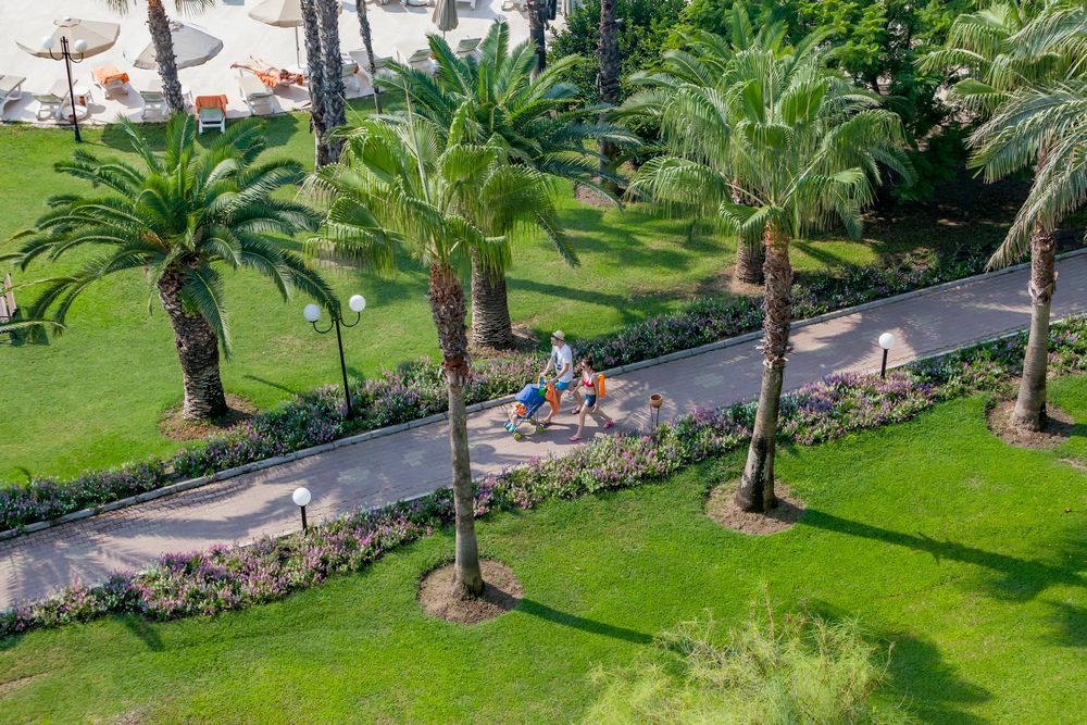 Картинка отеля - 74