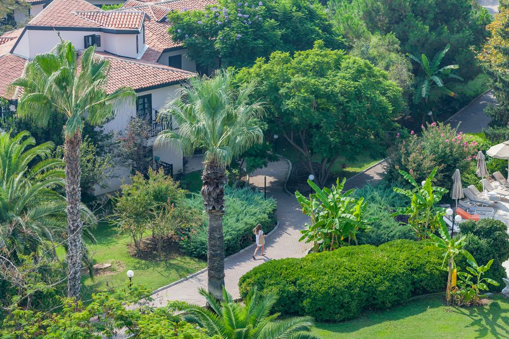 Картинка отеля - 77