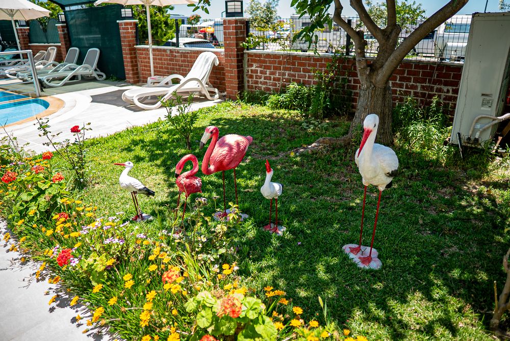 Картинка отеля - 20