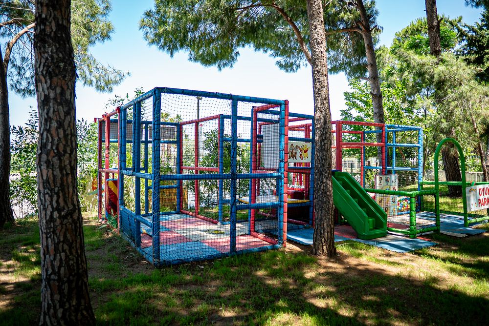 Картинка отеля - 21