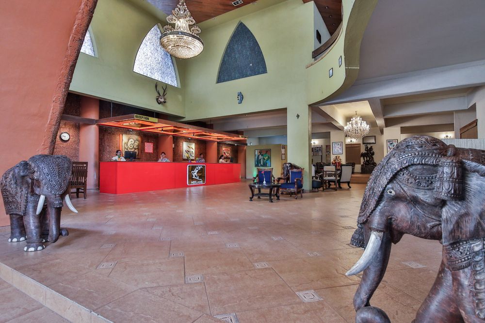 Картинка отеля - 13