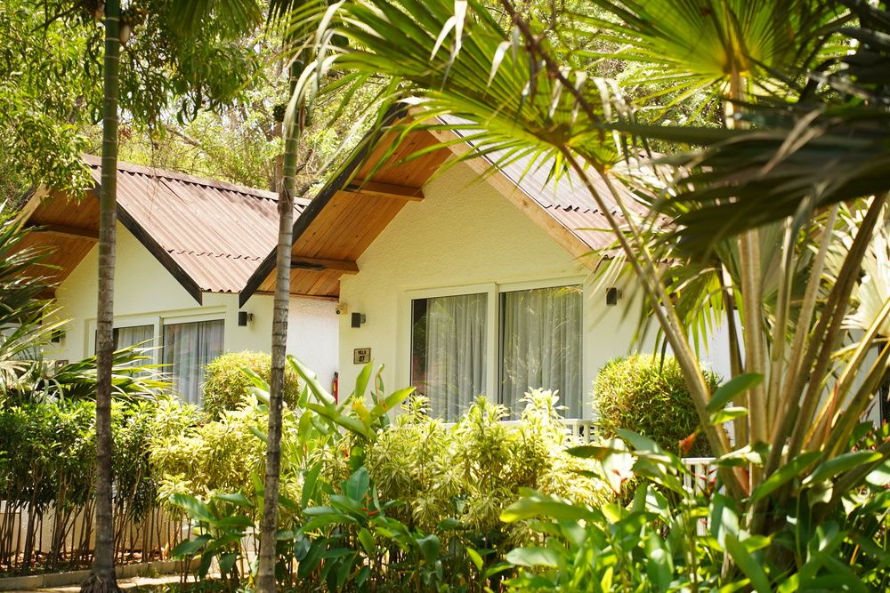 WHITE WOODS RESORT MORJIM (ex. WHITE WOODS RESORT MORJIM) - 1