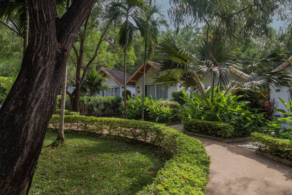 WHITE WOODS RESORT MORJIM (ex. WHITE WOODS RESORT MORJIM) - 4