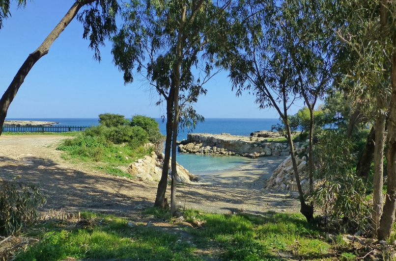 SUNRISE JADE (only adults 16+) - 5