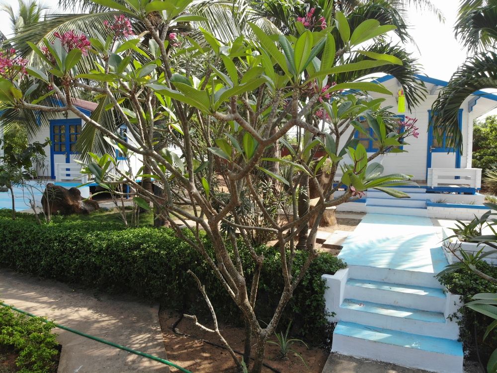 PARADISE VILLAGE BEACH RESORT - 10