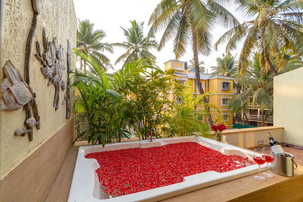 ADAMO THE BELLUS - 116