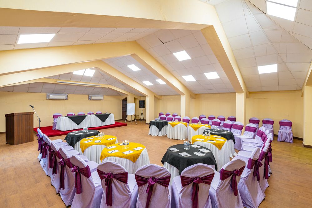 ADAMO THE BELLUS - 45