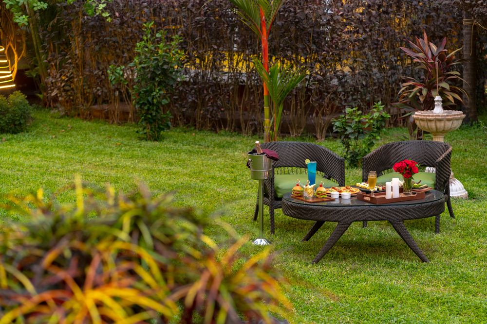 ADAMO THE BELLUS - 29