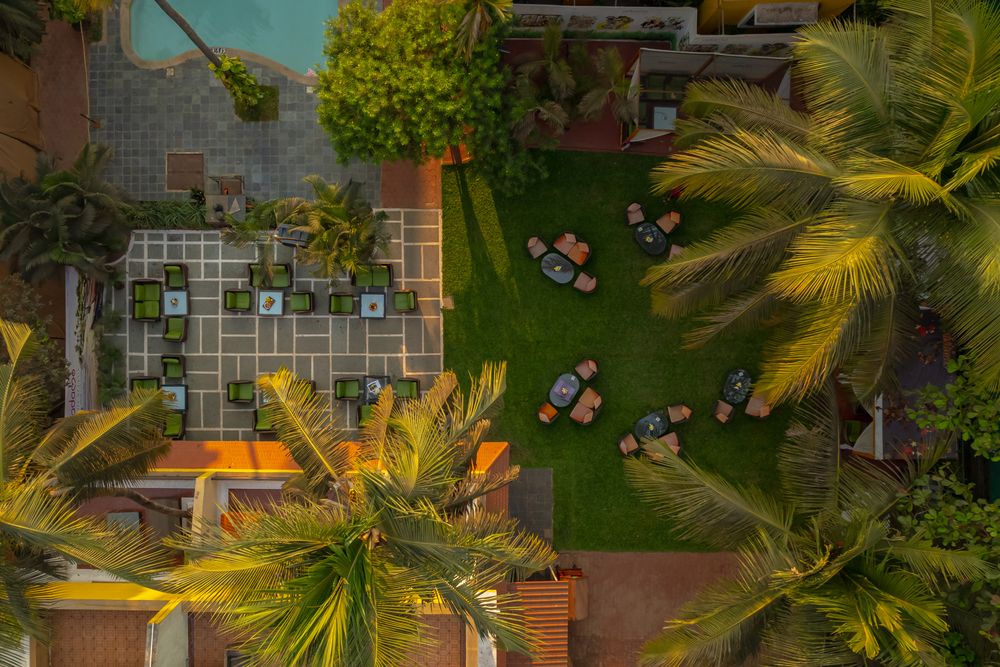 ADAMO THE BELLUS - 9