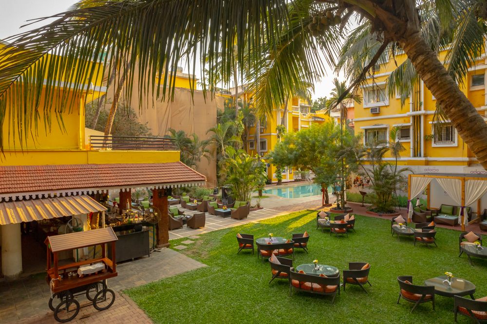 ADAMO THE BELLUS - 15