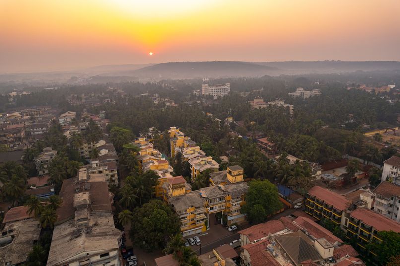 ADAMO THE BELLUS - 2