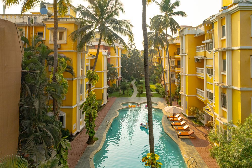 ADAMO THE BELLUS - 7