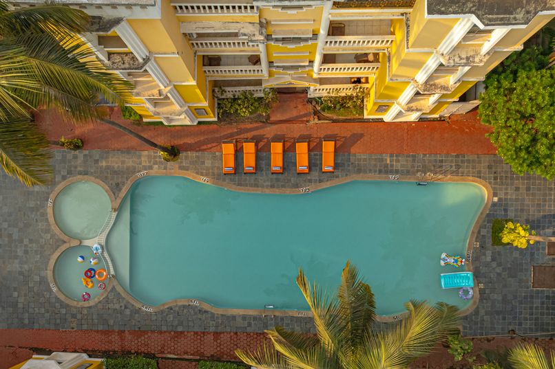 ADAMO THE BELLUS - 6