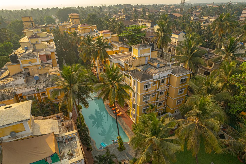 ADAMO THE BELLUS - 1